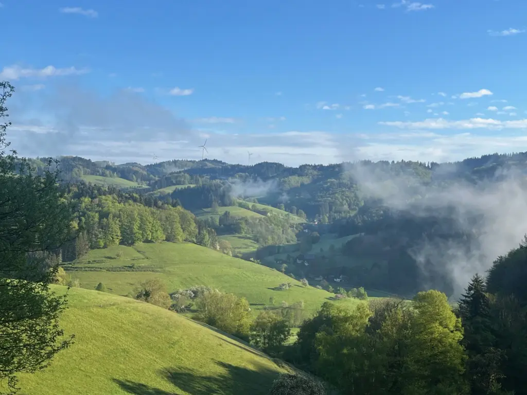 weites Tal mit Wiesen und Wäldern im Sonnenschein mit einzelnen Schleierwolken in den Baeumen