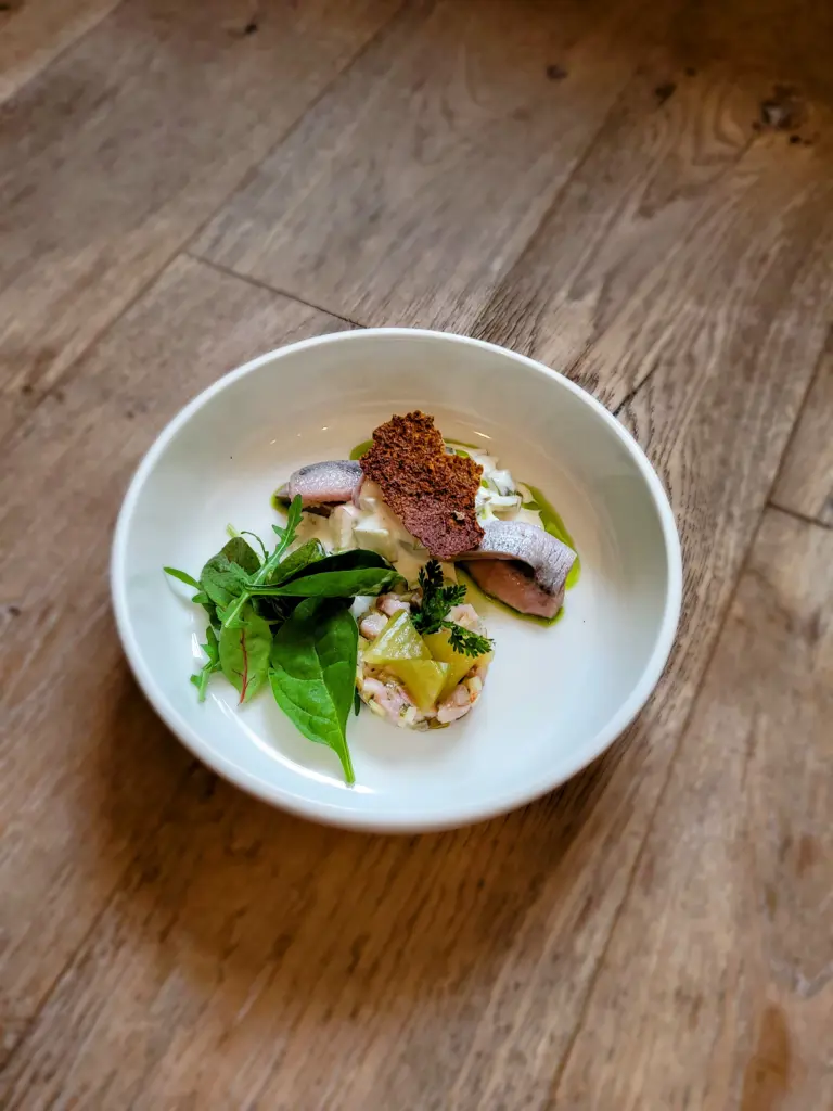 weißer, tiefer, runder Teller mit einer Variation von Matjes und Wildkraeutersalat