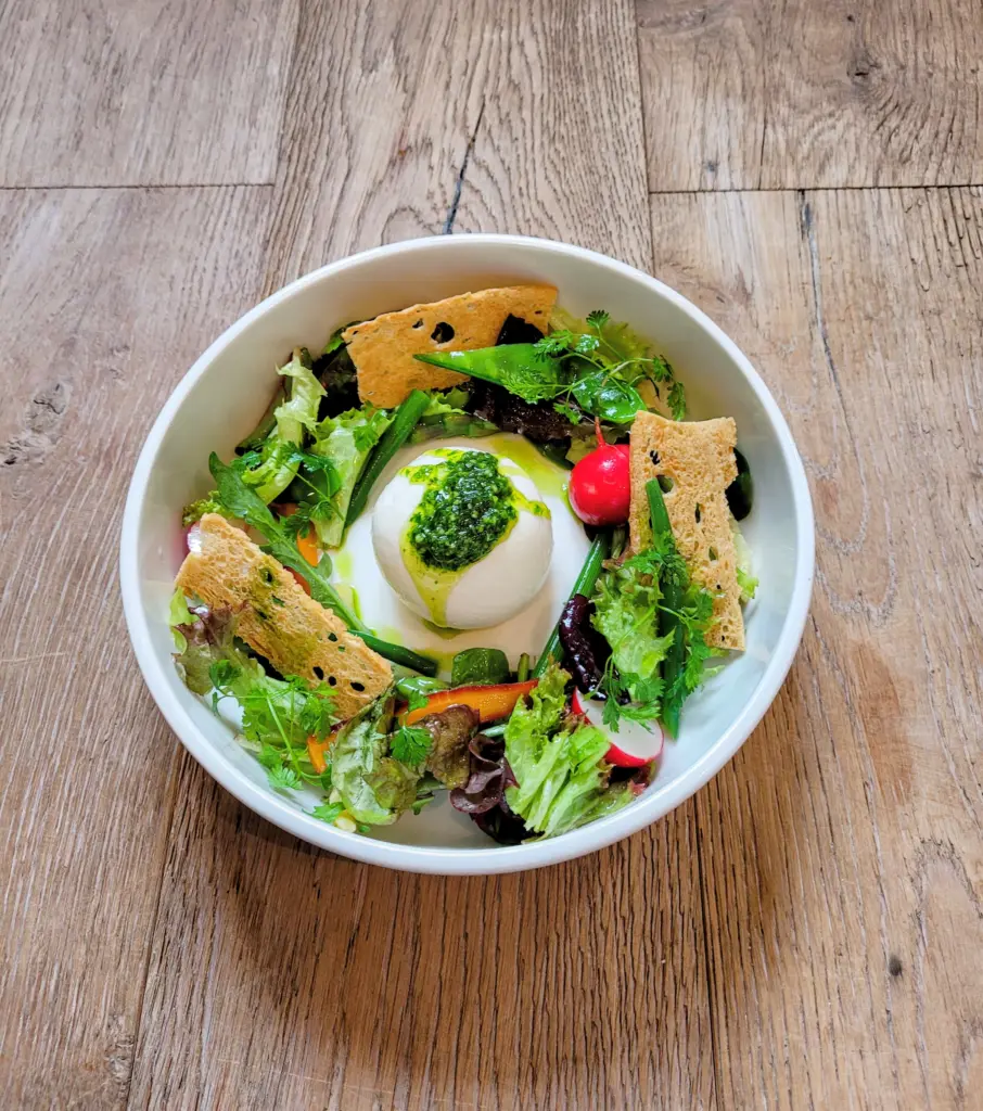 eine Kugel Burrata umlegt mit Wildkraeutersalat und Sommergemüse in einem weißen, tiefen Teller
